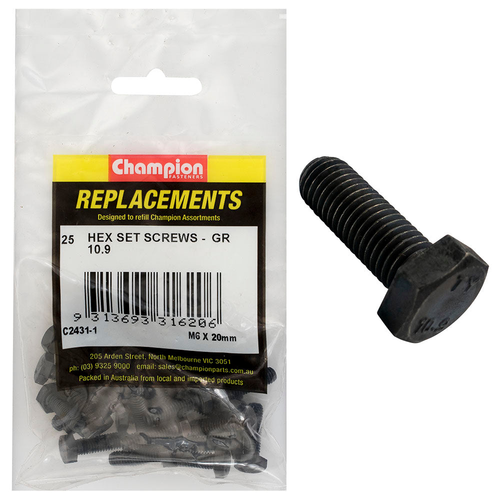 Champion Fasteners Hex Set Screw High Tensile M6 X 20mm Grade 10.9 C2431-1