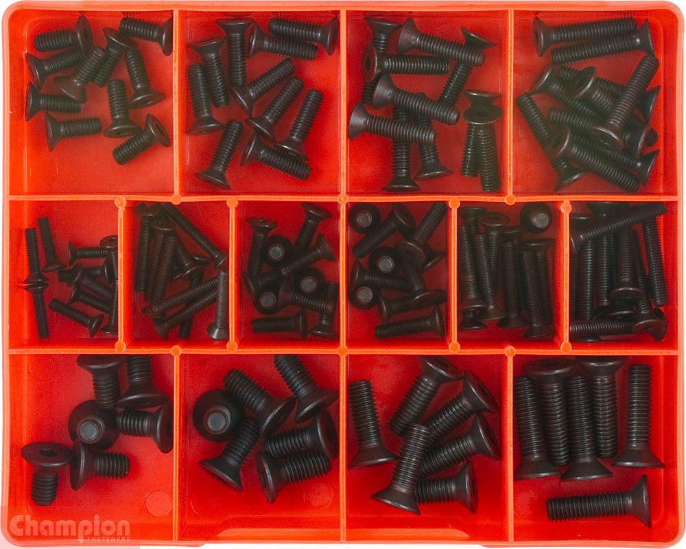 Champion Fasteners Metric C/Sunk S/Head Screw Assortment CA1419