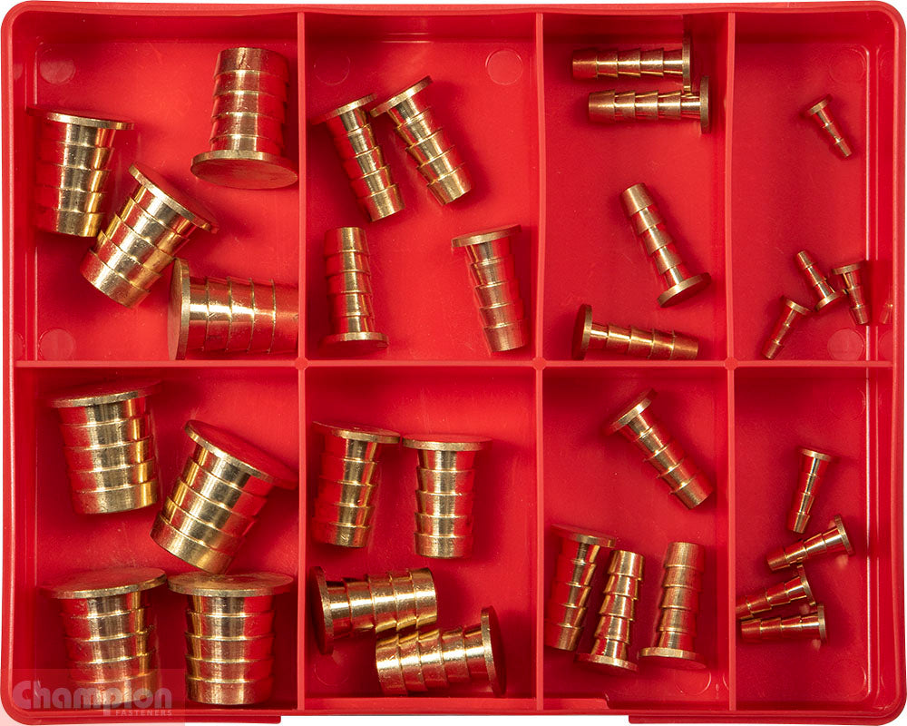 Champion Fasteners Brass Barbed Hose Plug Assortment CA40