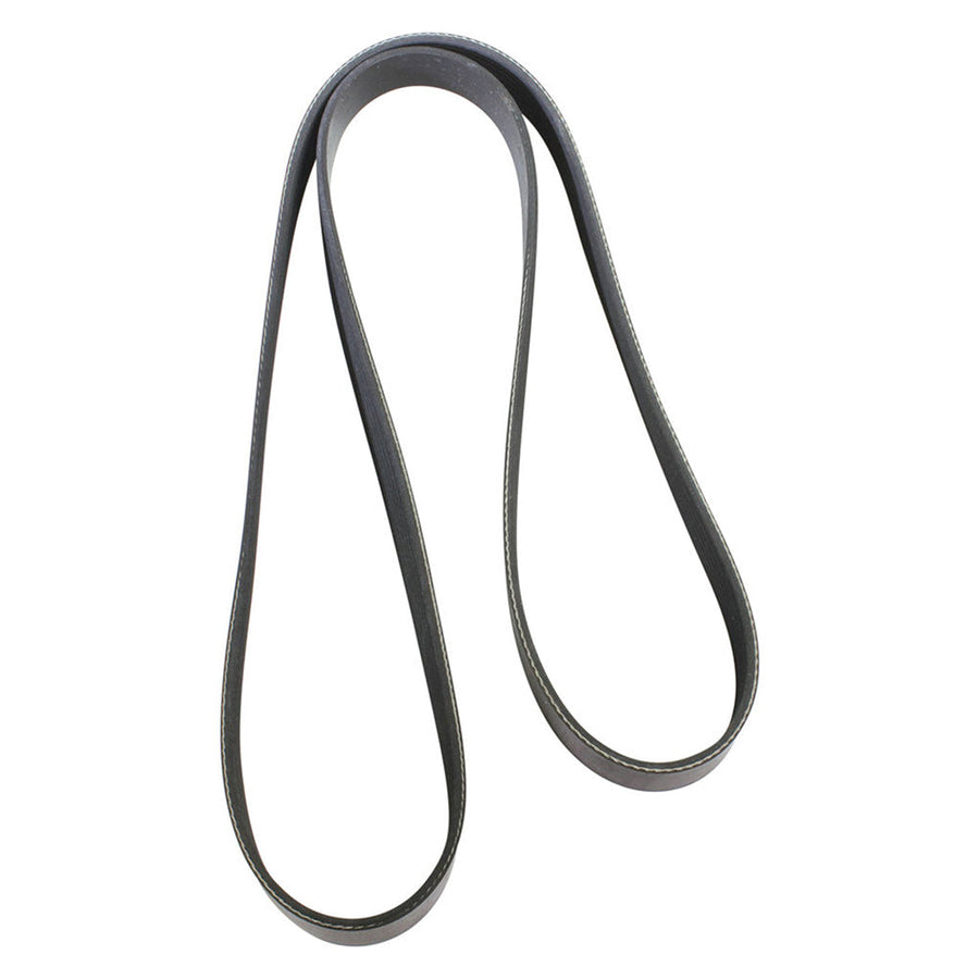 Dayco Multi Ribbed Drive Belt 8 Rib x 1920mm 8PK1920
