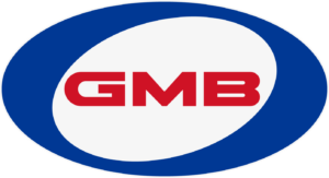 GMB Water Pump OE Fit OE Performance 2 Year Warranty GWBE-02A