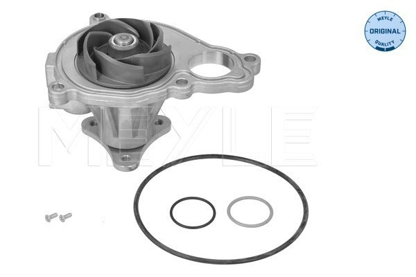 MEYLE Water Pump 313 220 0031