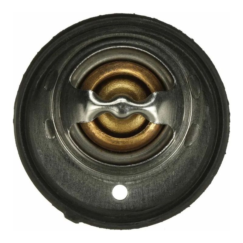 Gates Thermostat TH55395G1