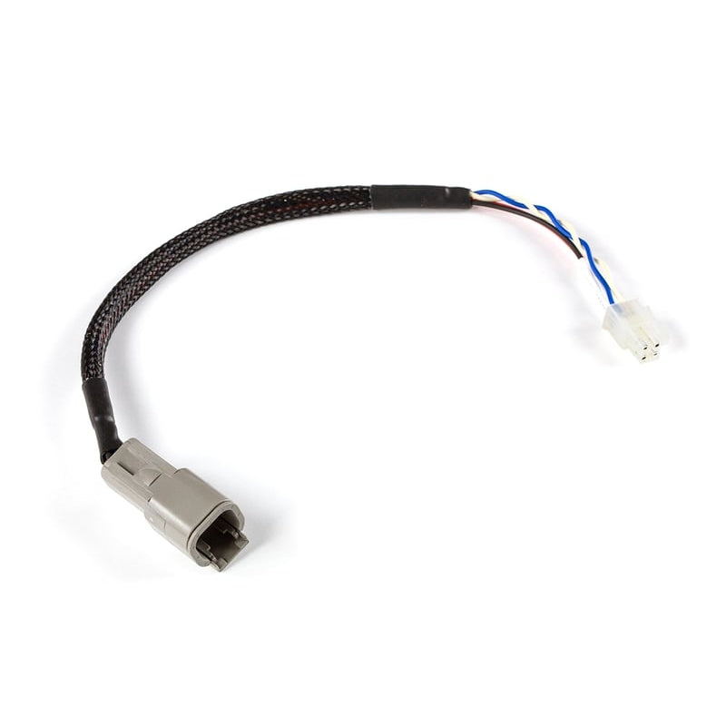Haltech CAN Adaptor Loom (DTM-4 to Minifit Jr) - Suits Microtech HT-130049