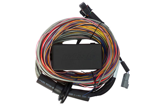 Haltech Elite 550 Premium Universal Wire-in Harness Length: 2.5m (8') HT-140404