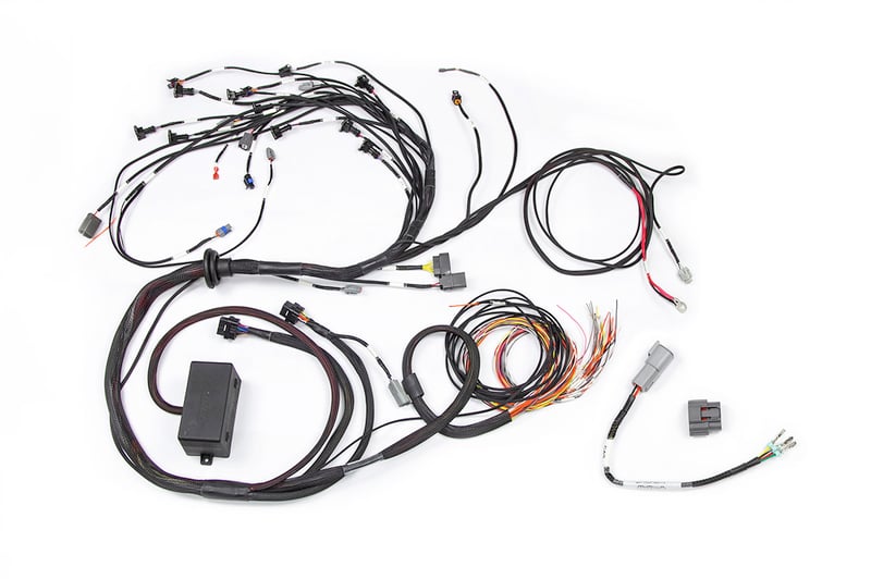Haltech RB Twin CAM Main Harness, CAS Breakout, No Ignition Breakout HT-141226