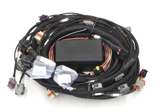 Haltech Elite 2500 GM GEN III LS1 & LS6 (DBW Retrofit Ready) Terminated Harness (EV1) HT-141362
