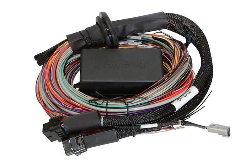 Haltech Elite 1500 + Premium Universal Wire-in Harness Kit 2.5m (8) HT-150904