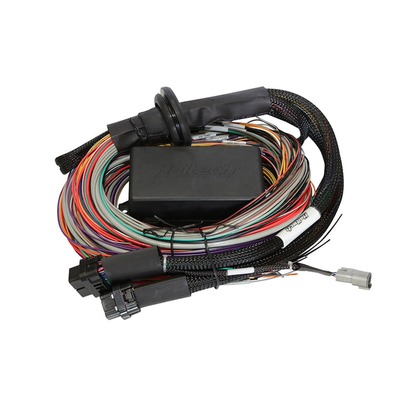 Haltech Elite 1500 + Premium Universal Wire-in Harness Kit 5.0m (16) HT-150905