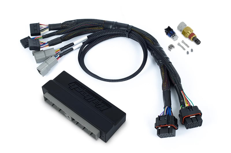 Haltech Nexus S3 Plug 'n' Play Adapter Harness - Nissan Skyline R34 GT-T HT-186363