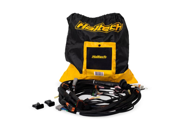 Haltech Nexus Rebel LS Terminated Harness for Nexus Rebel LS ECU HT-186500