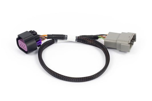 Haltech Nexus Rebel LS - 8-pin DBW Adaptor HT-186506