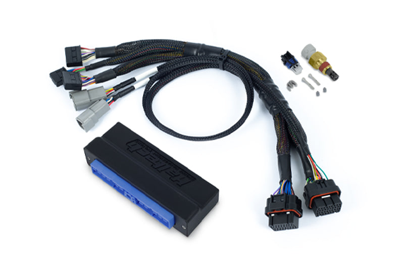 Haltech Nexus S2 Plug 'n' Play Adapter Harness Kit - Nissan Silvia S13 SR20 HT-212315