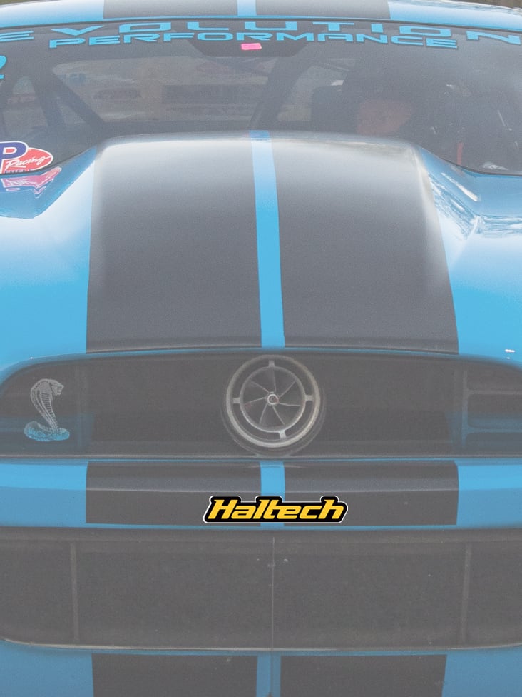 Haltech Sticker 200mm - Colour HT-300105