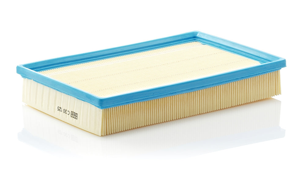 MANN Air Filter C 30 125