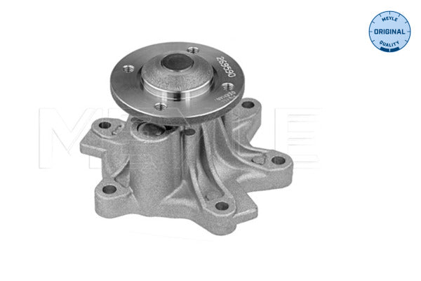 MEYLE Water Pump 313 220 0010