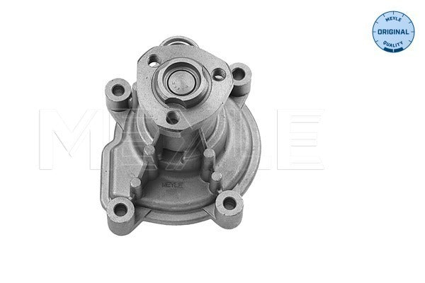 MEYLE Water Pump 113 220 0004