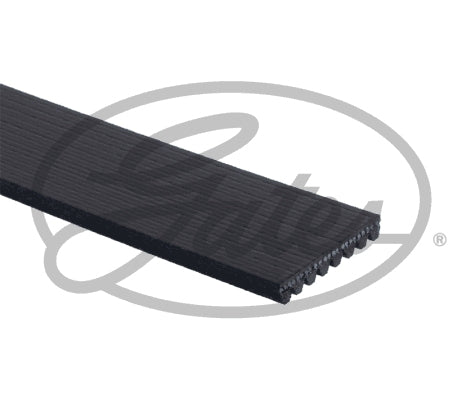 Gates Heavy Duty Micro-V Belt 8PK905HD