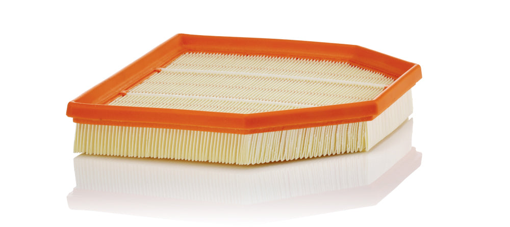 MANN Air Filter C 24 243