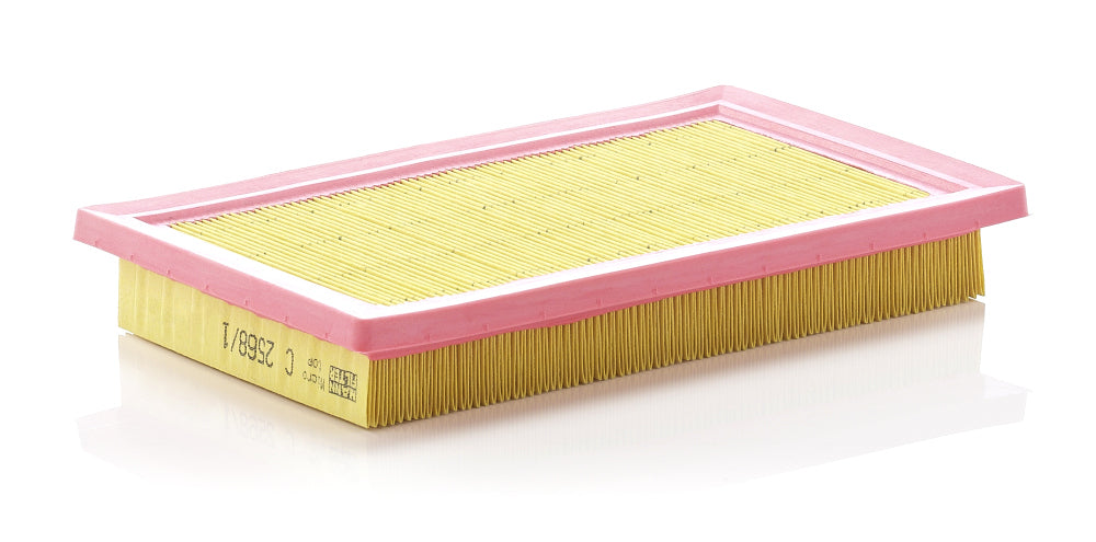 MANN Air Filter C 2568/1