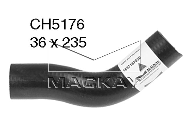 Mackay Top Radiator Hose CH5176