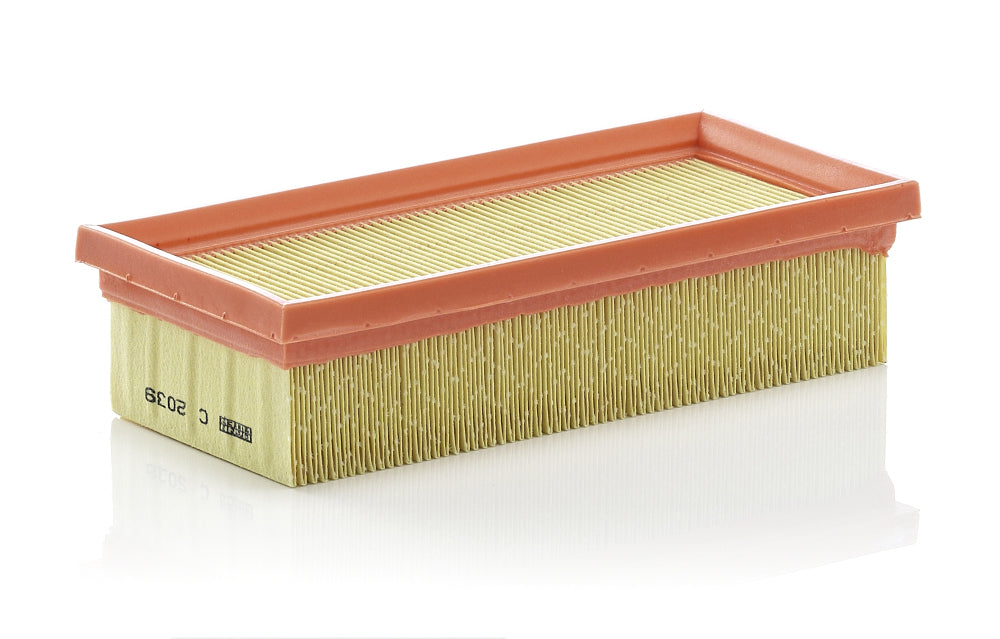 MANN Air Filter C 2039