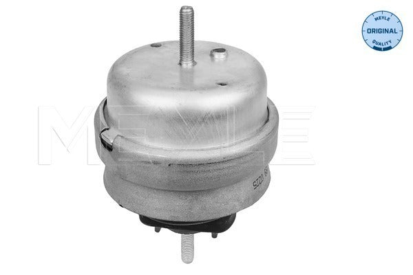 MEYLE Engine Mount 100 199 0225
