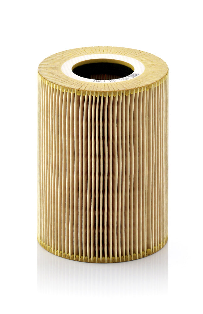MANN Oil Filter HU1381x