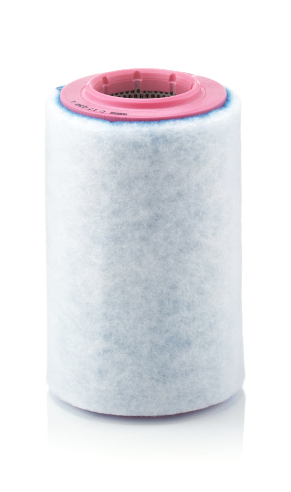 MANN Air Filter C 17 237/1