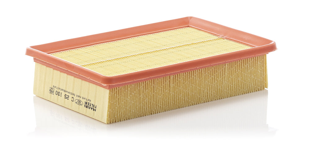 MANN Air Filter C 25 100