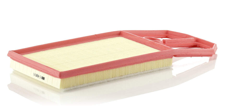 MANN Air Filter C 4287/1