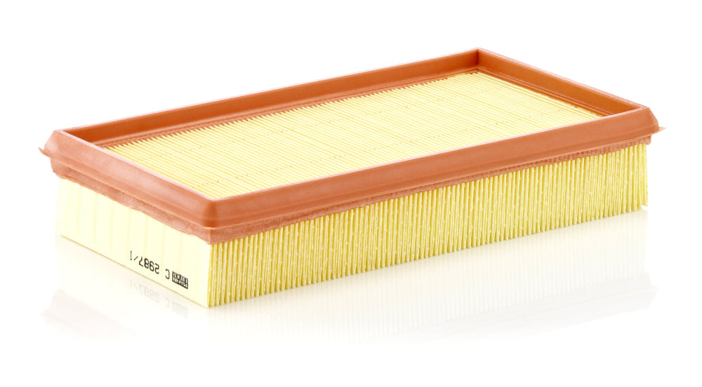 MANN Air Filter C 2987/1