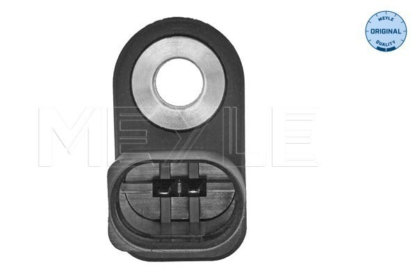 MEYLE Intake Air, Temperature Sensor 100 905 0024