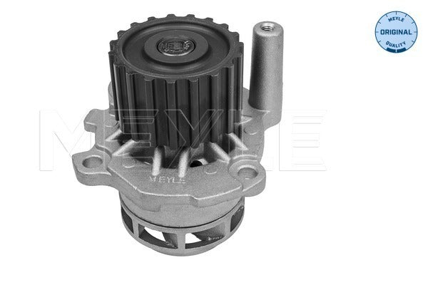 MEYLE Water Pump 113 012 0059