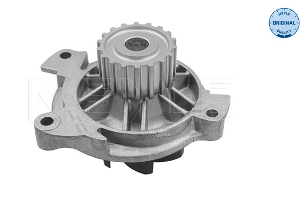 MEYLE Water Pump 513 220 0004