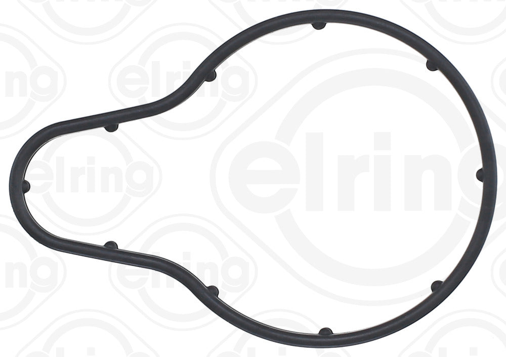 Elring Timing Case 810.96