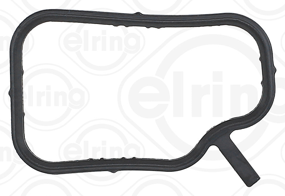 Elring Gasket 249.69