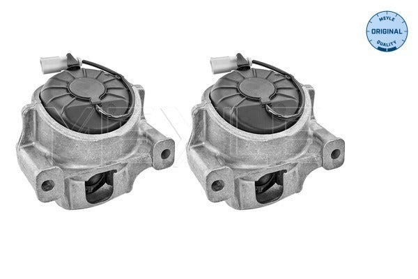 MEYLE Engine Mount Set 100 199 1407/S