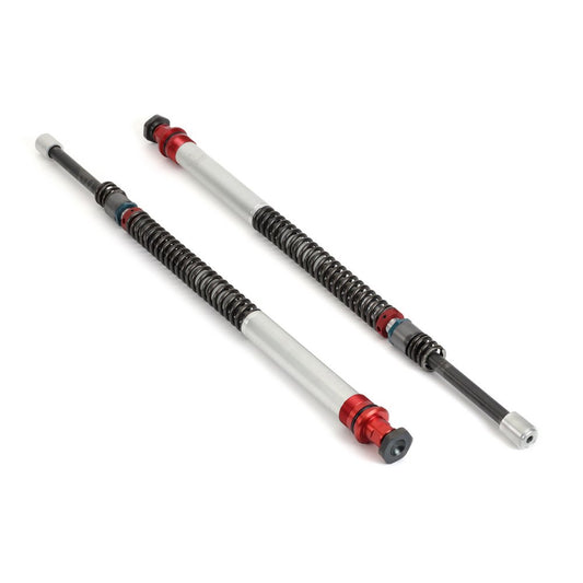 Arnott Reman Rear RT ABC Strut - 02-06 MB S-Class (W220)/CL-Class (C215)-AMG SK-2460