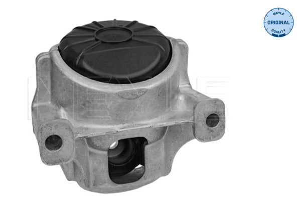 MEYLE Engine Mount 100 199 1002