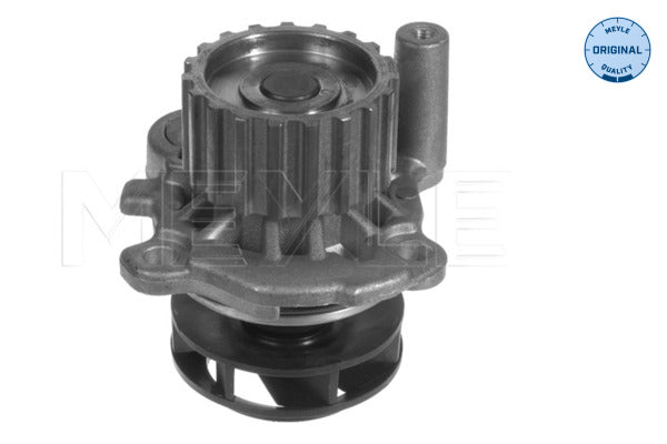 MEYLE Water Pump 113 012 0037