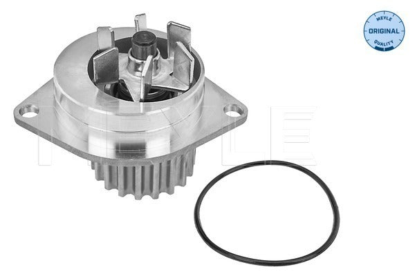 MEYLE Water Pump 11-13 012 0102