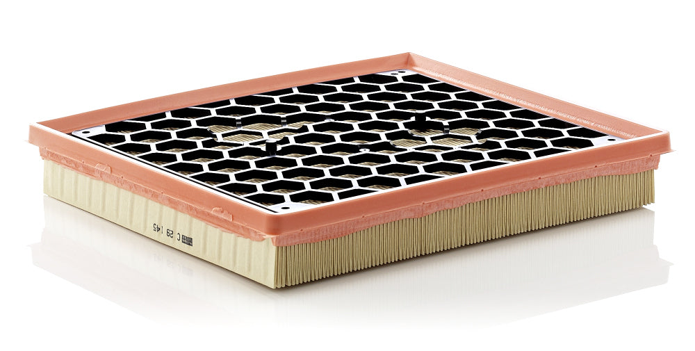 MANN Air Filter C 29 145