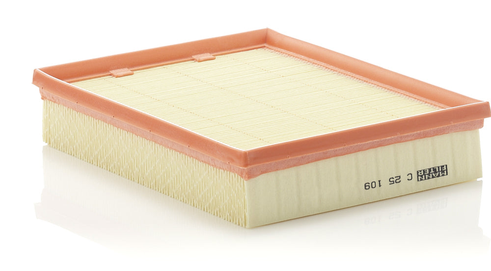 MANN Air Filter C 25 109