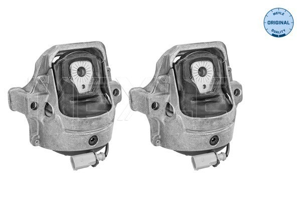 MEYLE Engine Mount Set 100 199 1407/S