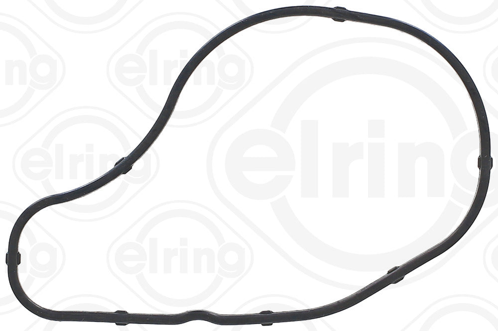 Elring Timing Case 648.29