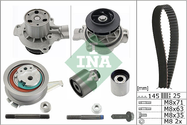 INA Water Pump & Timing Belt Kit 530 0650 31