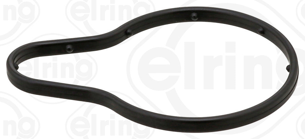 Elring Timing Case 810.96