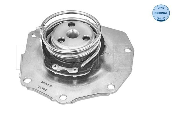 MEYLE Water Pump 513 220 0006