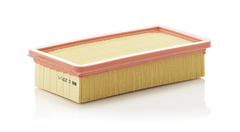 MANN Air Filter C 2571/1